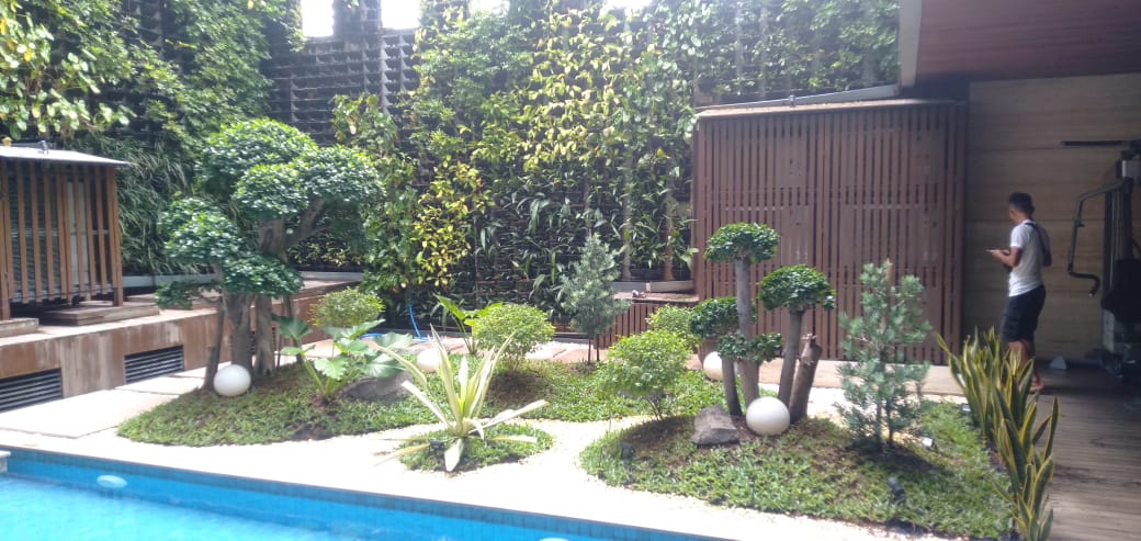 IMG-20250113-WA0063(1)